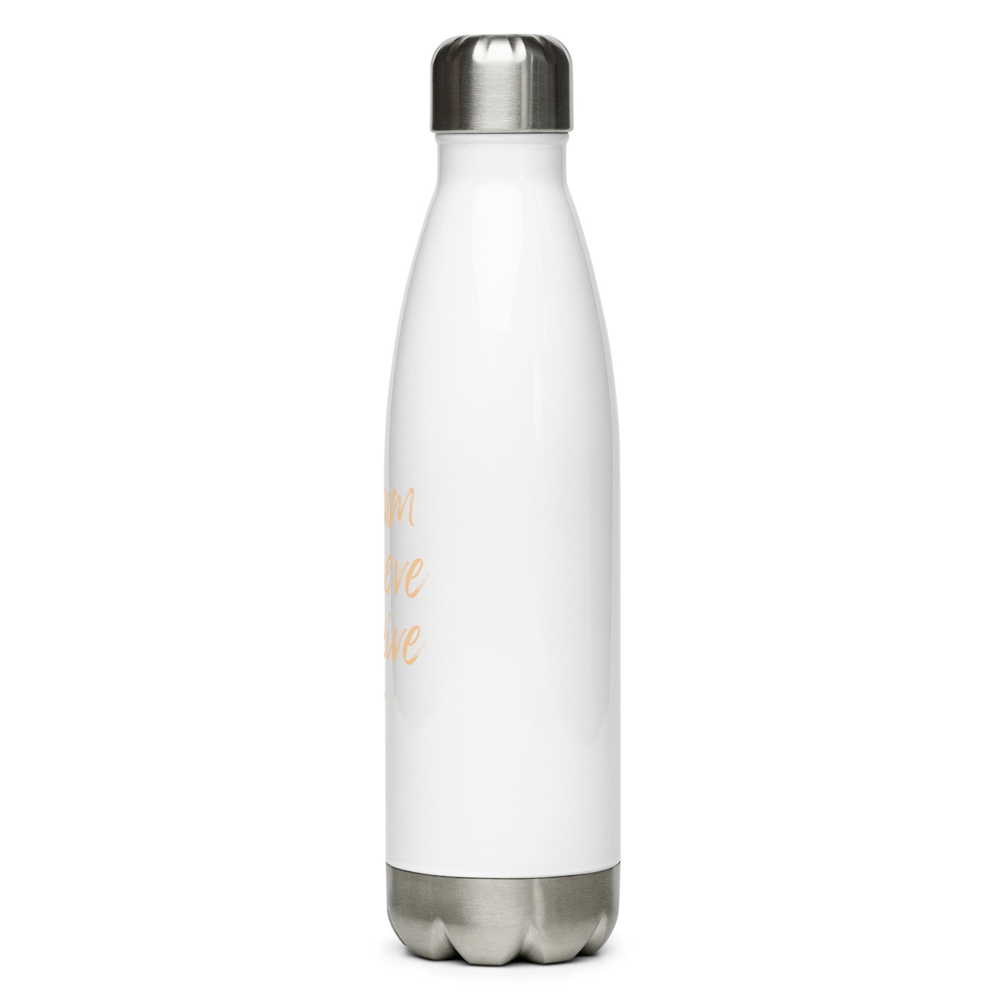 Dream, Believe, Receive Stainless Steel Water Bottle